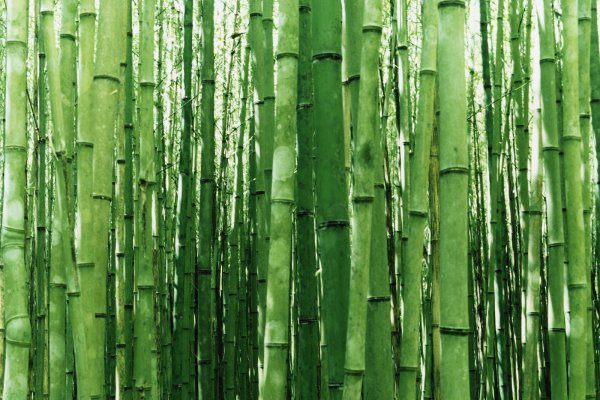 vista 02 – taustapilt