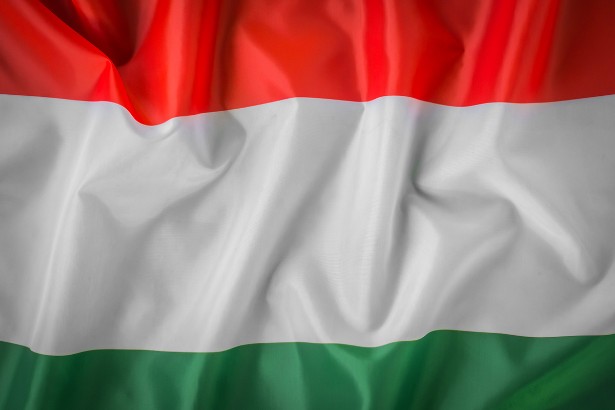 Teist nädalavahetust järjest toimub vormel-1 etapp, sedapuhku Ungaris