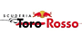 Torro Rosso STR7 esitlus 2012